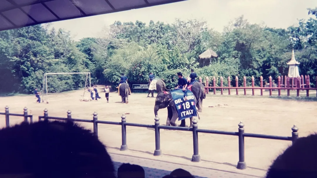 Picture